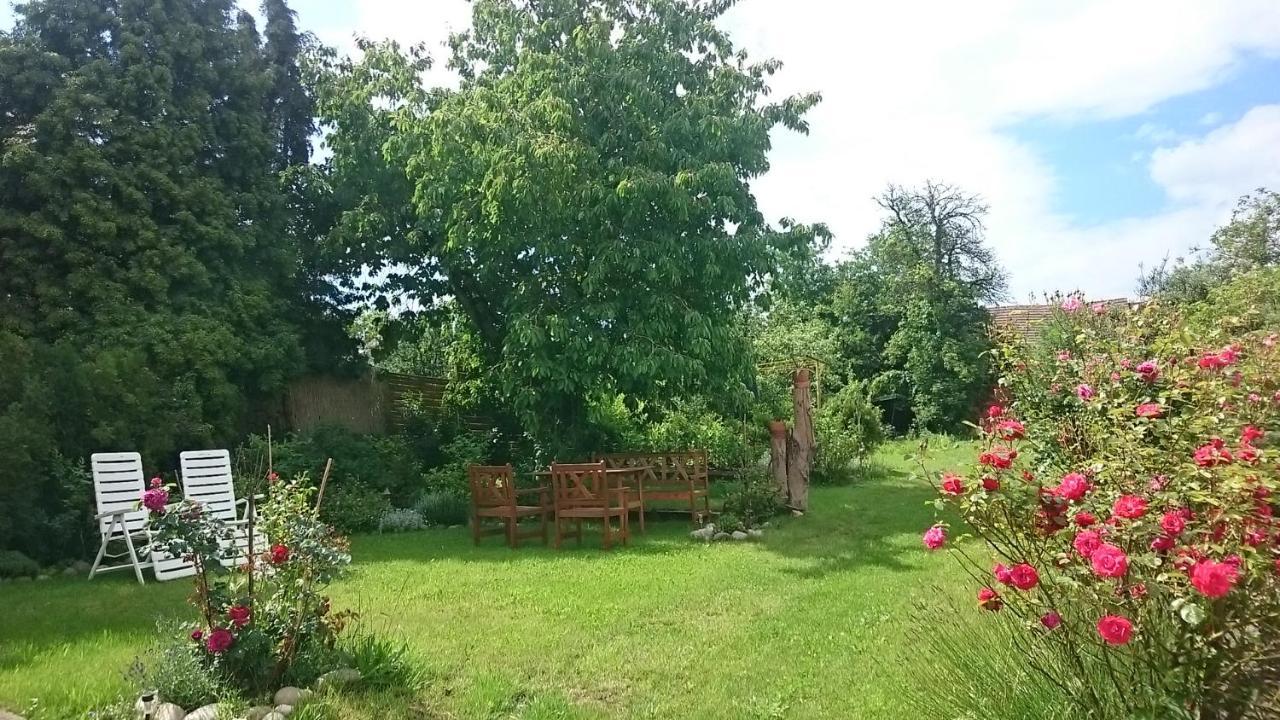 Ubytovani Sarka Čistá Esterno foto